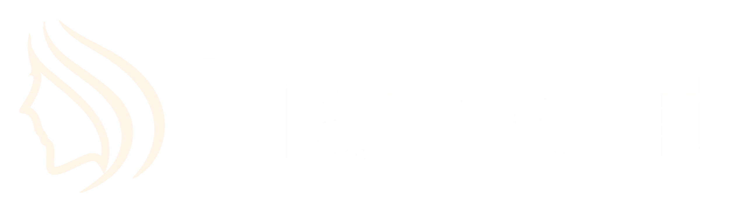 nailed-it